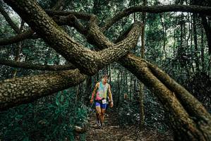 BIB: 
                            <button type="button" onclick="openModal(25664408)" class="btn btn-primary btn-sm float-right btn-popup" data-toggle="modal" data-target=".modal-high-quality">
                        <i class="fas fa-shopping-cart"></i> Add to Cart
                    </button>
                                            <button type="button" onclick="isThisMe(25664408, true)" class="btn btn-success btn-sm float-right btn-popup btn-isme hidden" data-toggle="tooltip" data-placement="bottom" title="นี่คือรูปของคุณใช่ไหม คลิกที่นี่เพื่อเอาเข้าอัลบั้ม">
                        <i class="fas fa-plus"></i> Add to album
                    </button>
                    <button type="button" onclick="isThisMe(25664408, false)" class="btn btn-warning btn-sm float-right btn-popup btn-isnotme hidden">
                        <i class="fas fa-ban"></i> Remove from album
                    </button>